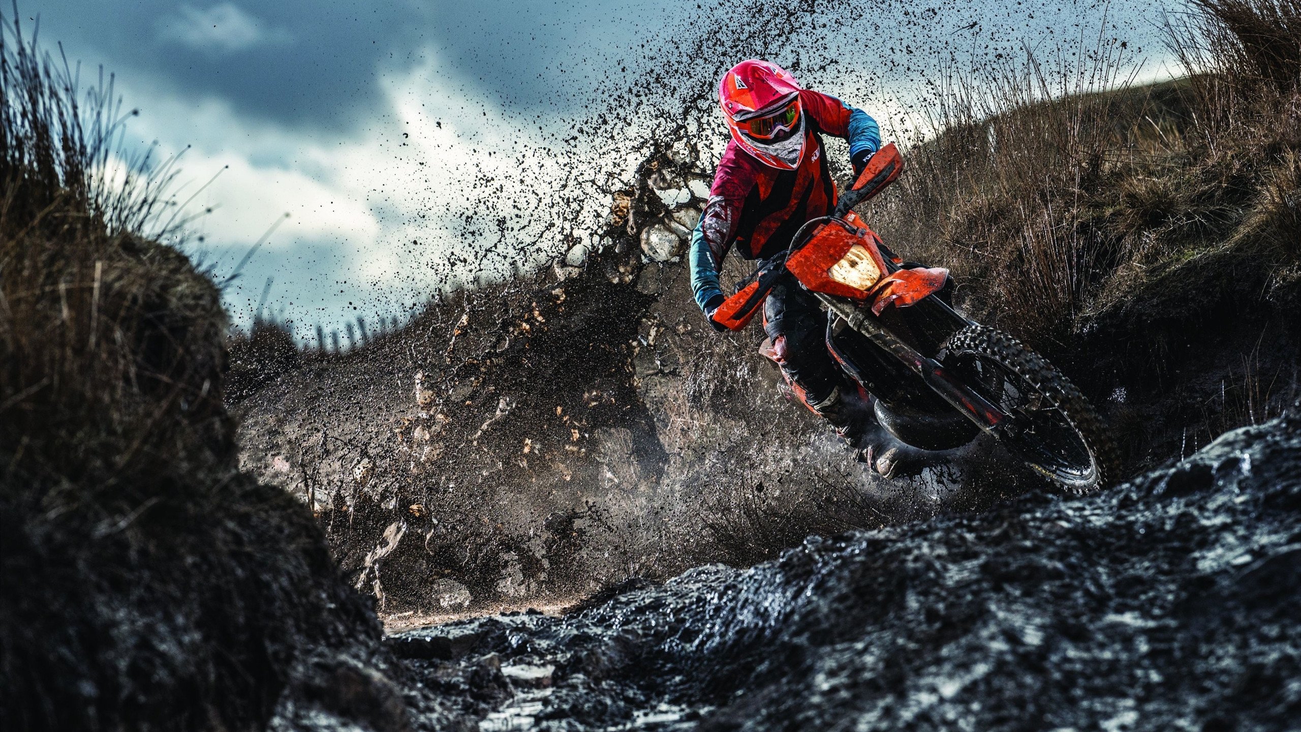 马琳铁腕治军，法国队战术革新横扫韩国，新一代高卢雄鸡展翅腾飞